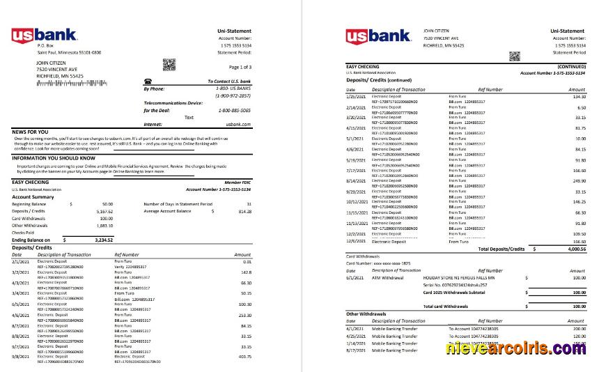 USA U.S. Bank statement in Excel and PDF (.xls and .pdf file) format (3 pages)